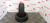 Изображение из DataMobile